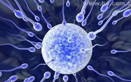 南昌三代试管婴儿价格出炉，收费标准一览！