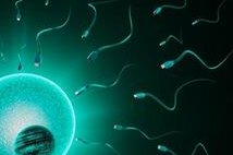 没有卵泡的怎么在上海做试管，无卵泡做试管的方法和成功率