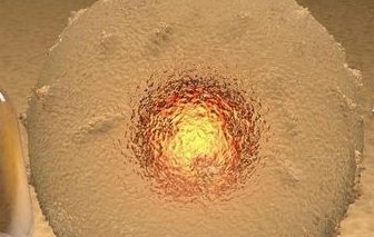 未婚女士如何试管婴儿（未婚女士如何试管婴儿视频）