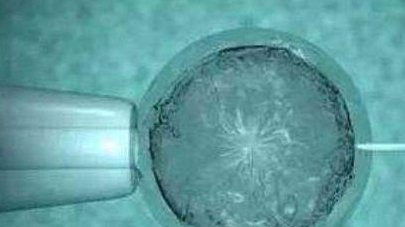 LH高做试管婴儿对胚胎着床有影响吗？