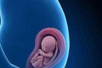 在日本精库如何进行取精？日本地区有哪些私立的机构可以做试管技术？