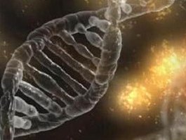 试管婴儿着床多次尝试失败是怎么回事？